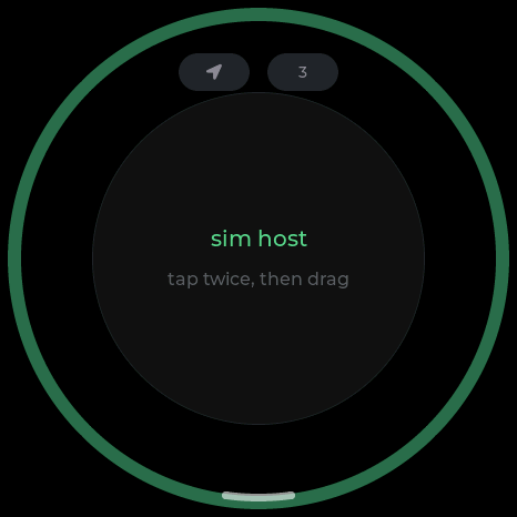 The Air Mouse screen, connected to a host